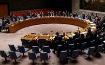 UNSC to hold emergency meeting over Syria chemical attack