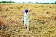 Punjab assesses damage after shock showers flatten crops and fuel storage fears