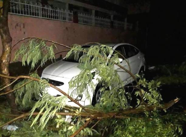 High-intensity dust storm wreaks havoc, nearly 100 killed in Rajasthan & Uttar Pradesh