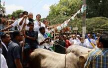 IN PICS: Rahul Gandhi On Bullock Cart And Cycle During Karnataka Election Campaign