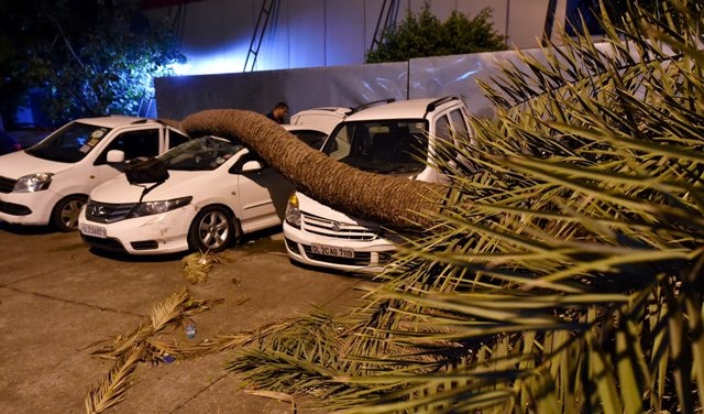 Thunderstorms, lightning wreak havoc in four states, kill 34 46 killed after violent dust storm, lightning wreak havoc in four states