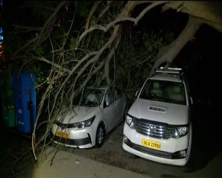 Pictures show broken tree trunks on top of cars. There were no casualties were reported till this report was published.