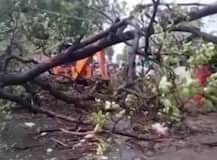 43 people dead in Bihar, UP & Jharkhand due to heavy storm and lightning