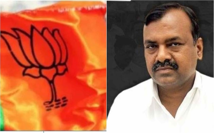 Maharashtra Lok Sabha by-polls: BJP's Rajendra Gavit wins in Palghar Maharashtra Lok Sabha by-polls: BJP's Rajendra Gavit wins in Palghar