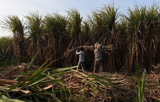 Cabinet approves Rs 8,500 cr bailout package for sugar industry Cabinet approves Rs 8,500 cr bailout package for sugar industry