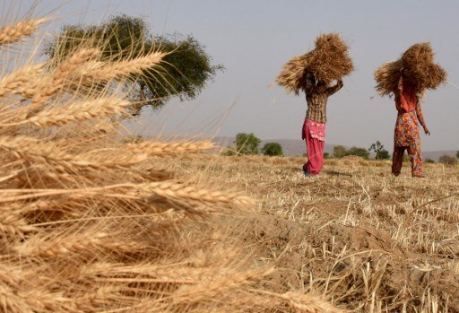 Bullet train project: Farmers' body to hold 