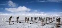 Breathtaking Pictures: Security forces beat ice, water and altitude to perform Yoga