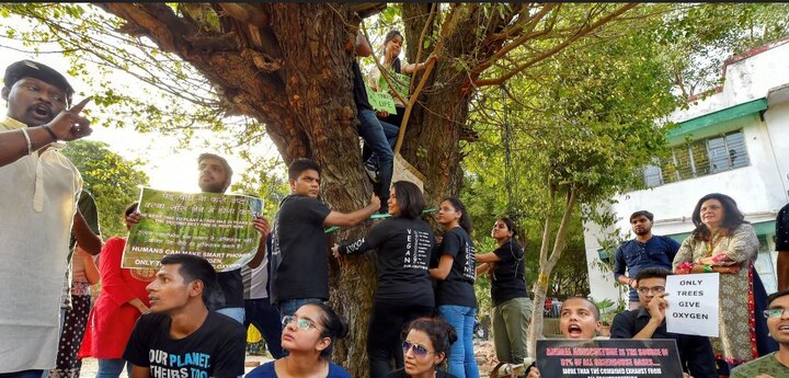 Can Delhi afford felling of thousands of trees for housing complex, asks HC Can Delhi afford felling of thousands of trees for housing complex, asks HC