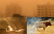 In Pics: California witnesses bizarre orange sky as massive wildfires take over; evacuation orders issued