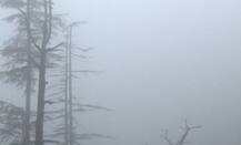 Weather Update: Heavy flooding, low visibility in Himachal Pradesh