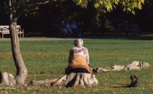 SHOCKING: 92-year-old US woman kills son to avoid being sent to care home