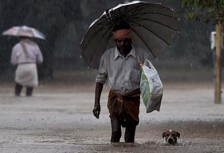 Weather update: Monsoon wreak havoc in Jammu and Kashmir, Assam, Gujarat; Heavy rain cripples Pakistan Weather update: Monsoon wreak havoc in Jammu and Kashmir, Assam, Maharashtra; Heavy rain cripples Pakistan