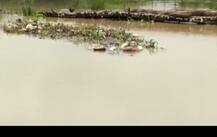 SEE PICS: Heavy rain fills up Bihar rivers, Gujarat receives first heavy rainfall