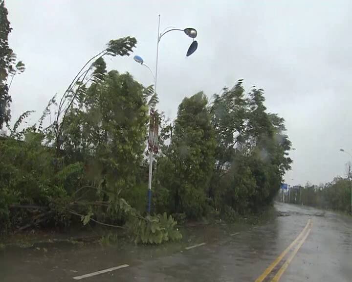 Winds approaching 100km/h have damaged around 2,000 trees in the urban area of Fujian's Ningde City. Image Courtesy: AP