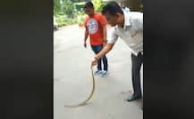 Watch: Video of Gujarat Congress leader subduing venomous snake outside home goes viral