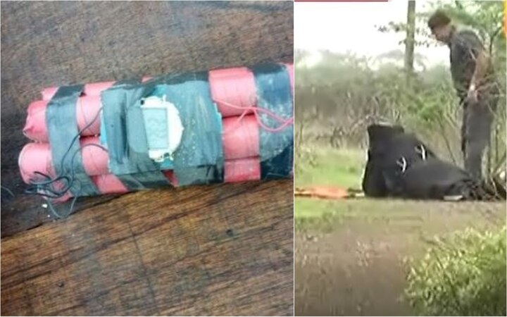 Gujarat:  Live bomb with timer discovered in Rajkot, diffused successfully Gujarat:  Live bomb with timer discovered in Rajkot, diffused successfully