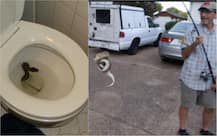 BIZARRE! Man goes to washroom, finds python inside toilet bowl
