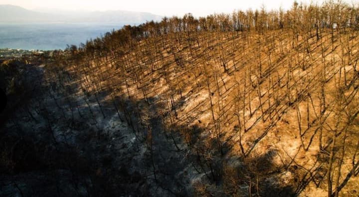 Greek firefighters gave the latest death toll as 74, with 187 people injured, including 23 minors, although they warned that those figures were expected to rise as they had identified dozens of burned-out houses they had yet to access due to the extreme temperatures inside the buildings. Image: Savvas Karmaniolas, AFP