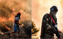 IN PICS: Massive wildfire engulf popular coastal vacation spot in Greece, 74 dead so far