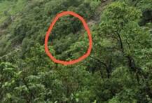 PICS: Bus With 40 Staffers Falls In 400-Ft Gorge In Maharashtra, 32 Dead