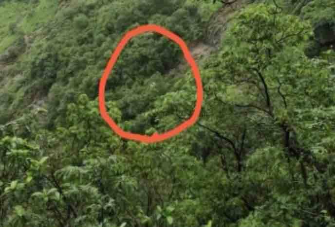 The gorge is said to be of 400-ft in Ambenali ghat in Raigarh district. (ABP News grab)