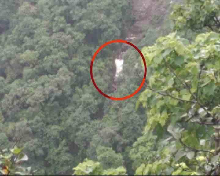 Bus carrying 40 staffers of Dr Balasaheb Sawant Konkan Krishi Vidyapeeth, Dapoli plunged a gorge on Saturday. (ABP News grab)