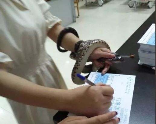 Shocking! Woman reaches hospital with snake wrapped around arm Shocking! Woman reaches hospital with snake wrapped around arm