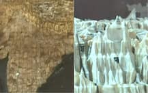 IN PICS: Unique \'Bharat Mata\' temple displays map of undivided India