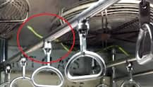 Watch Video: Snake inside Mumbai local train creates chaos during rush hour