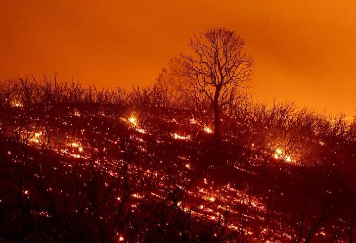 The Mendocino Complex Fire began a little more than a week ago with two neighboring fires burning through 9,500 acres of land and it is now rapidly spreading. (AFP Image)