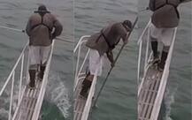 Watch: Man attacked by shark while trying to take underwater footage; video goes viral