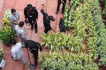 Stunning PICTURES of full dress rehearsal for Independence Day celebration at Red Fort