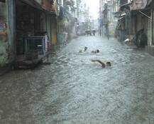 In Pics: MP\'s Ujjain Road Turns Into Swimming Pool Due To Incessant Rain