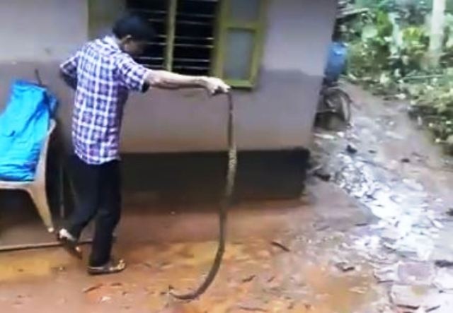 Crocodile, snakes take over Kerala's flooded homes Crocodile, snakes take over Kerala's flooded homes (WATCH VIDEO)