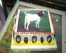 Lucknow: On Bakra-Eid, People To Cut Cakes, Not Goats