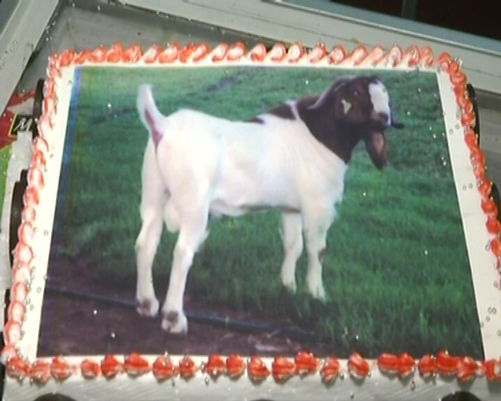 RSS Muslim wing celebrates Eid by cutting 'No Bakra Goat 2016' cake | Uttar  Pradesh News | Zee News