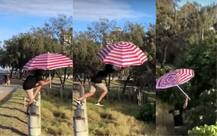 Mary Poppins Challenge: Yet another dangerous social media challenge that you must not try ! Check here