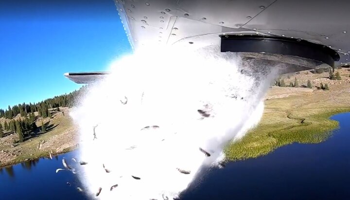 VIDEO:Thousands of fish dropped from plane into a lake in Utah; here is why VIDEO: Thousands of fish dropped from plane into a lake in Utah; here is why