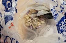BIZARRE ! Look what this pet cat brought home ..a bag full of DRUGS!
