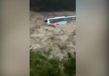 PICTURES: Heavy rains wreak havoc in Himachal, flooding in major areas; rescue underway