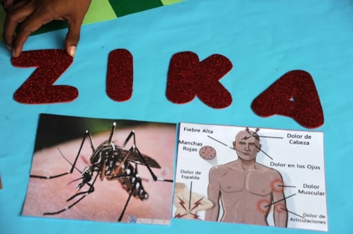 Rajasthan: 61 Zika virus cases detected Rajasthan: 61 Zika virus cases detected