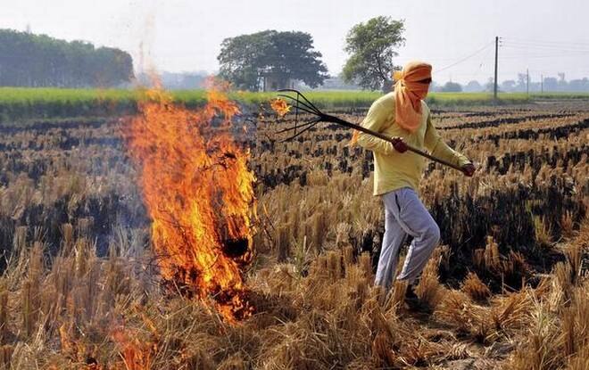 Delhi heads for another smoggy winter as crop residue burning in Punjab, Haryana start Delhi heads for another smoggy winter as crop residue burning in Punjab, Haryana start