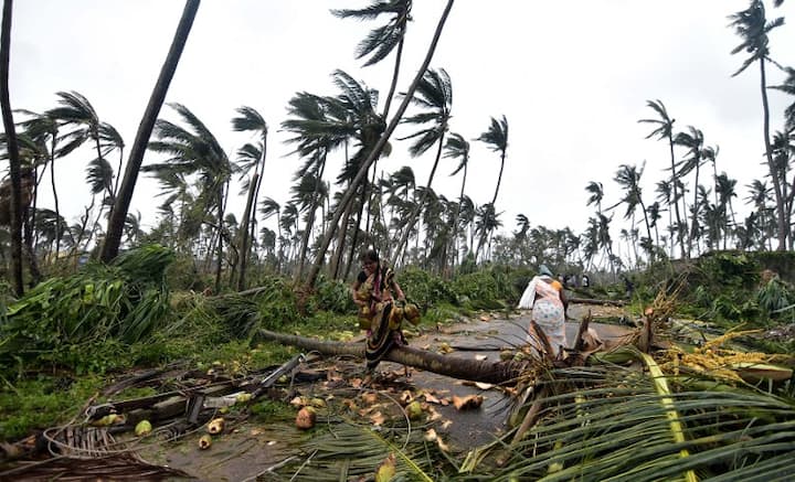 The cyclone, which made landfall between Andhra Pradesh and Odisha early on Thursday, triggered widespread rains in the two states, uprooted trees, electricity poles, communication towers, damaged houses and crops and snapped electricity supply. AFP photo