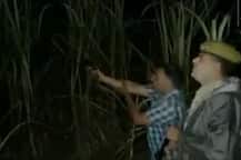 WATCH: UP Police\'s BIZARRE way to scare criminals, cop shouts \