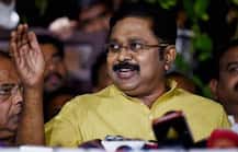 Tamil Nadu: Dhinakaran herds 17 rebel MLAs to resort ahead of disqualification verdict