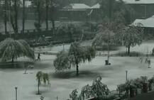 Latest Visuals Of Fresh Snowfall In Kashmir Valley