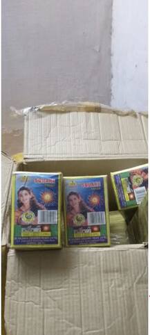 PICTURES: Delhi Police seizes 625 kgs of illegal firecrackers