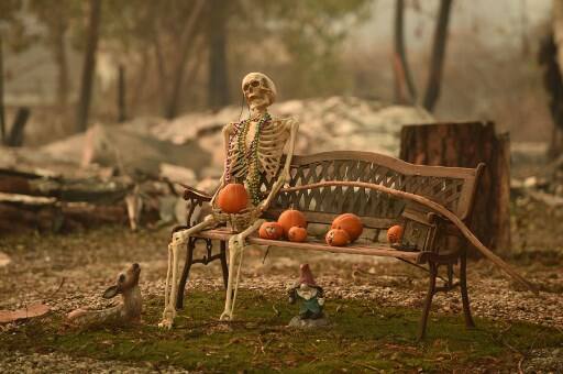 A halloween decoration remains at a burned home after the Camp fire tore through the region in Paradise, California on November 12, 2018.(Photo by Josh Edelson / AFP)