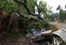 Severe cyclonic storm \'Gaja\' hits Tamil Nadu, 12 dead