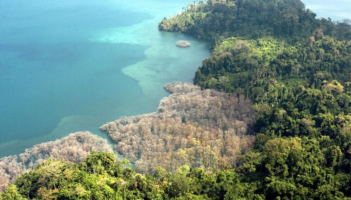American tourist killed by Sentinelese tribe in Andaman Islands, 7 arrested American tourist killed by Sentinelese tribe in Andaman Islands, 7 arrested